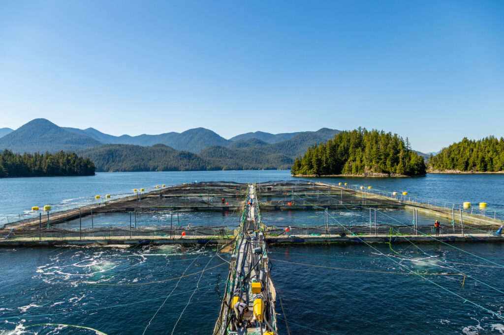 A fish farm in British Columbia