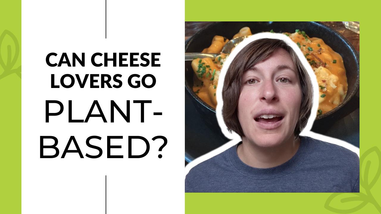 Can cheese lovers go plant-based? 