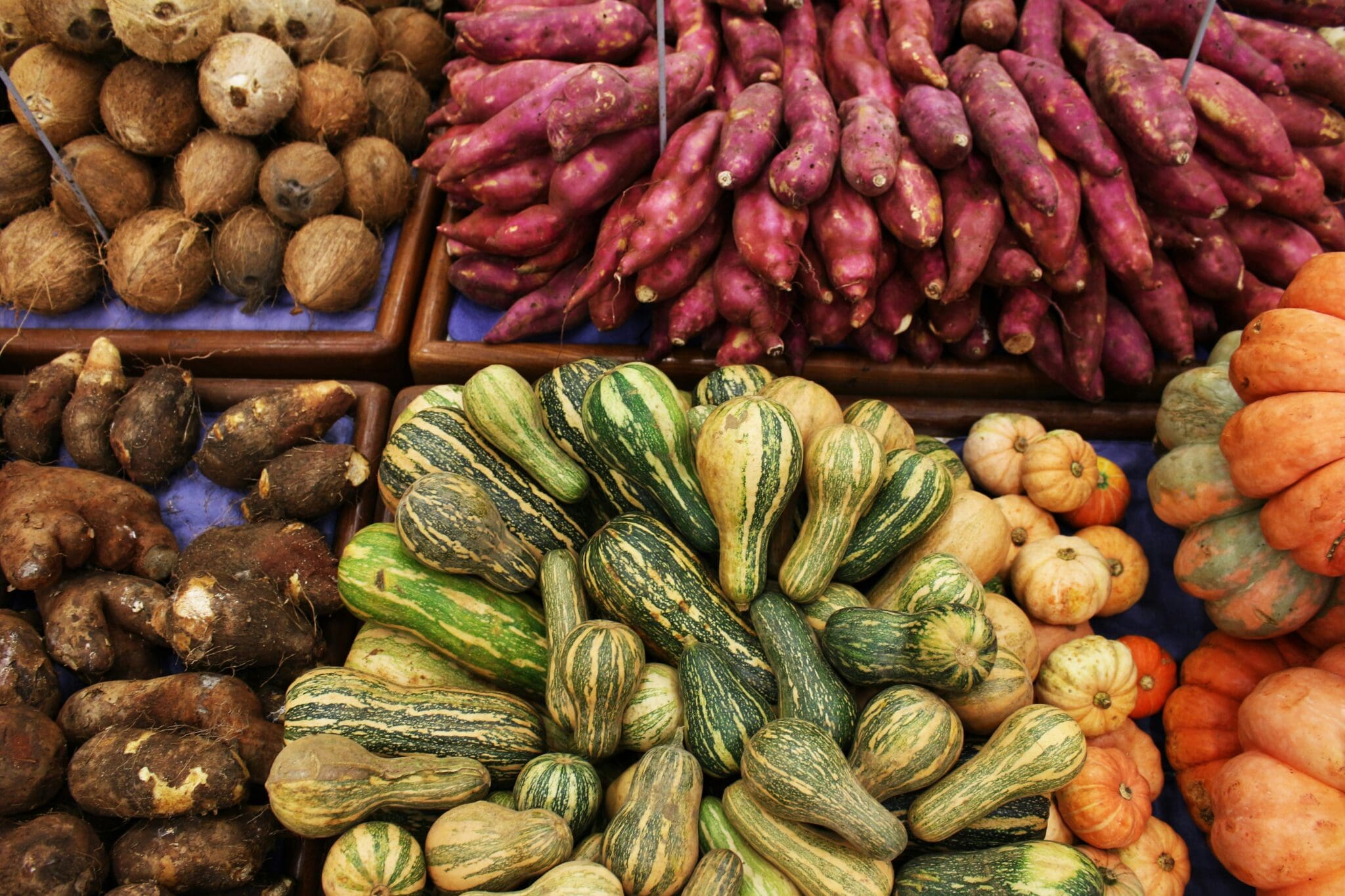 An overhead shot of squashes, yams and more.